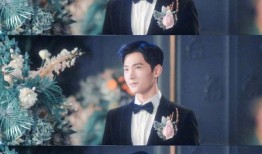 韩蔡琳最新爆料,揭秘与韩星感情纠葛内幕