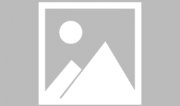 哈利波特最新爆料十二月,神秘新篇章揭露，十二月惊喜连连！